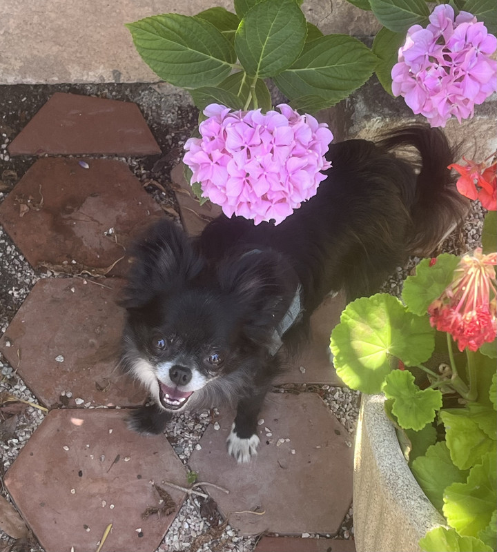 [Image: IMG-4923.jpg]