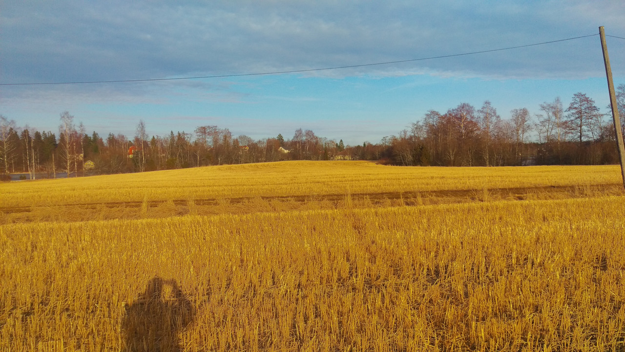 IMAG0290