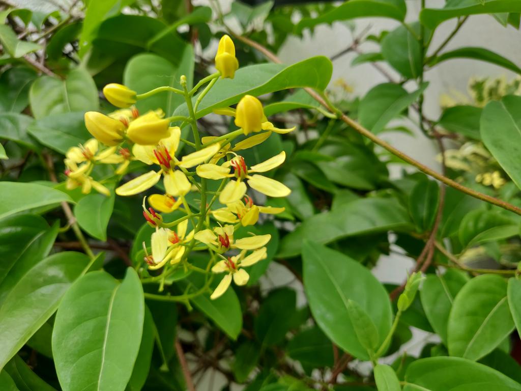 IMG-20181208-090346.jpg