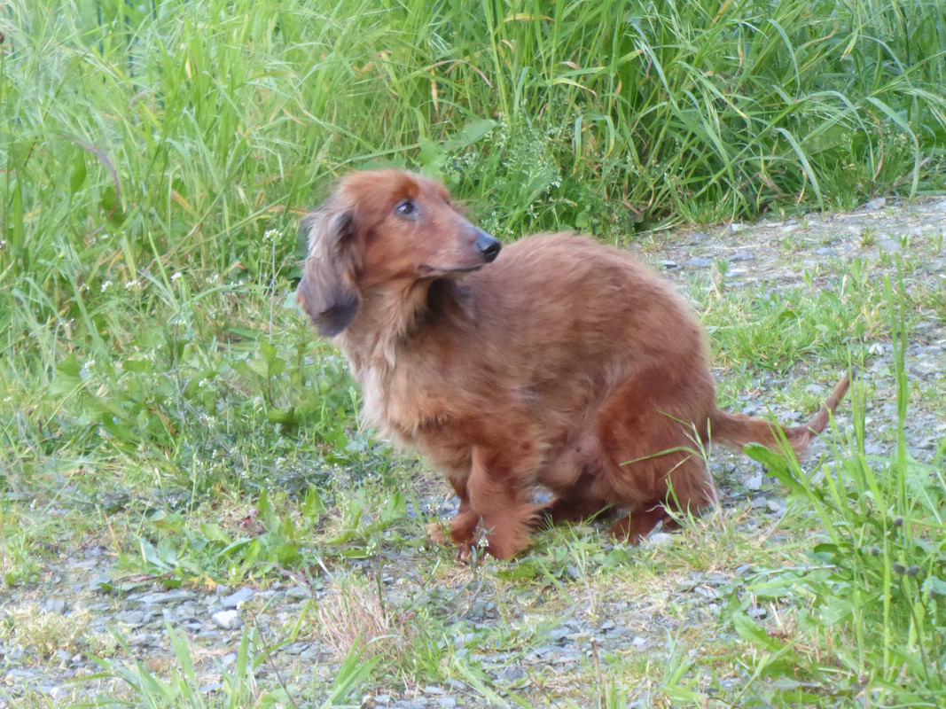 [Image: P1040956.jpg]