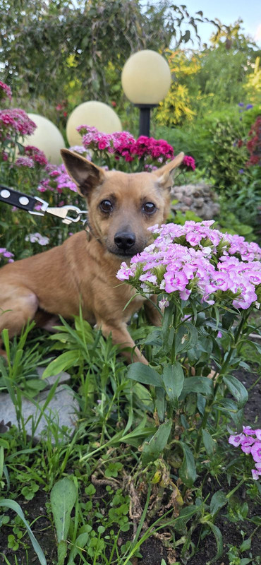 IMG-f909569d0538176dc4b22e9cd73728e0-V