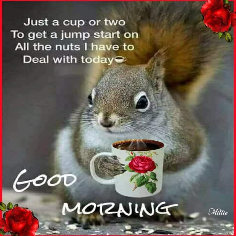 Good-Morning-Coffee-Nuts