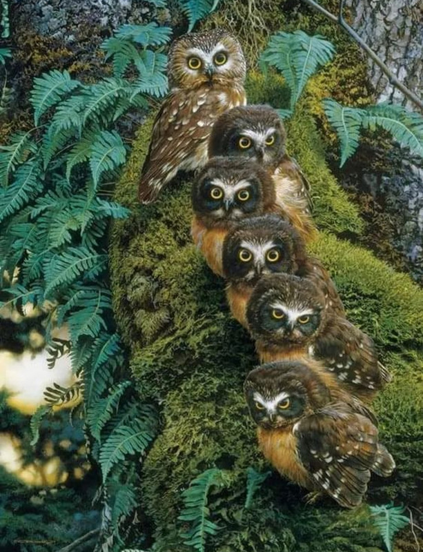 Screenshot_20240505_201451_Threads