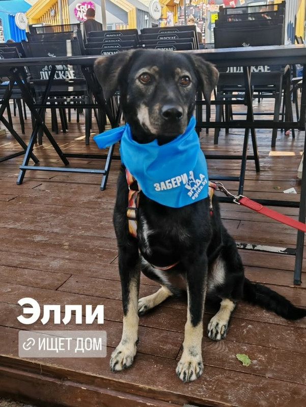 fnf1FelDyqAM5Wa-pPfuJkm1p_FDryJTMgs4FKyTGRLw4NLWO6qt18BPIIbNnvrjSdNVlrDnR6yQyaf25SL-IYBo