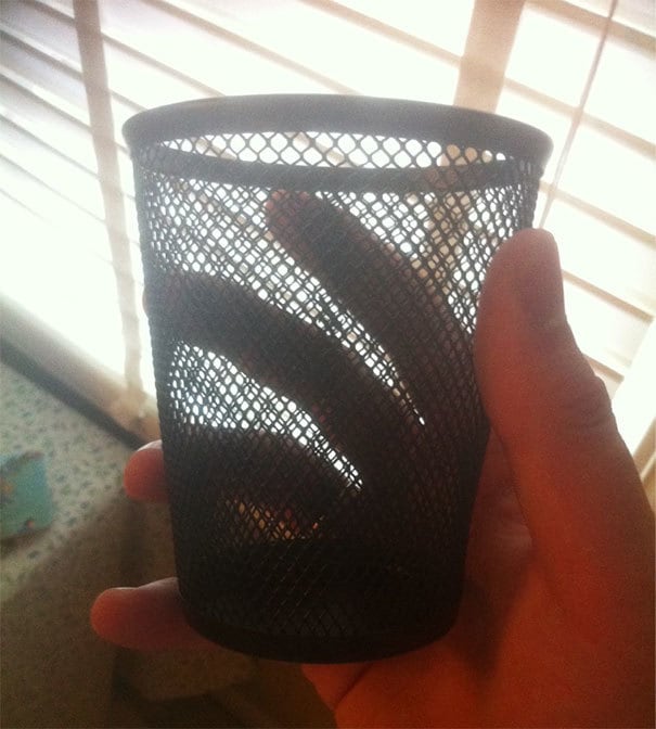 15 маминых шуток, которые достойны премии