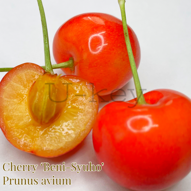 B81AEBBE-1EF3-48D3-AD96-8764C9AF5CD2