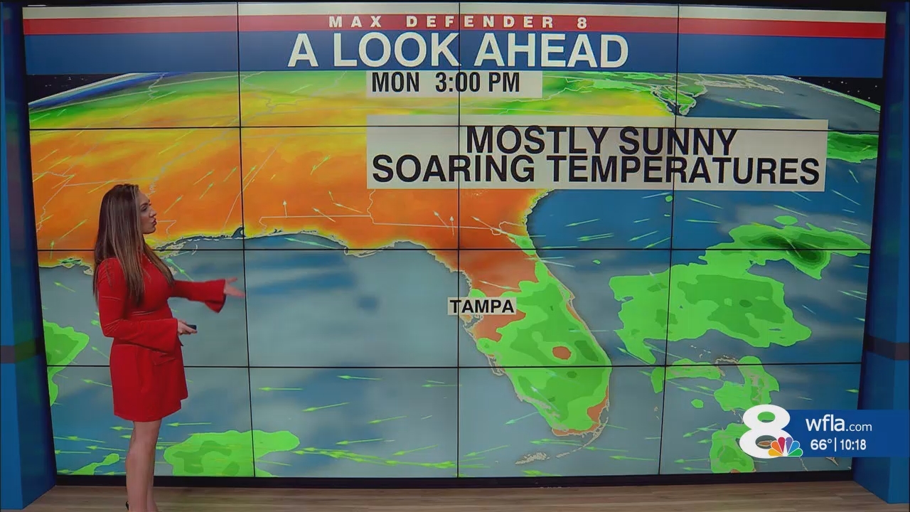 NewsChannel 8 News at 1000pm_20250131_03000330.ts_snapshot_19.17.517