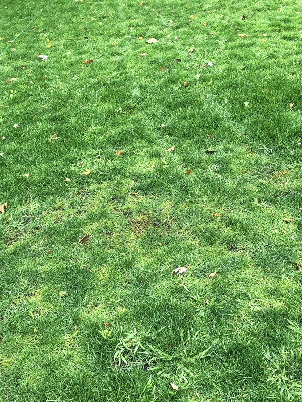 738549E9-734F-4F9A-AD4B-93EEB0F26537