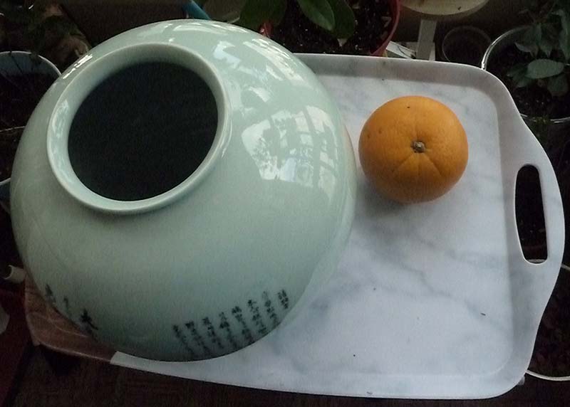 [Image: P1050546.jpg]