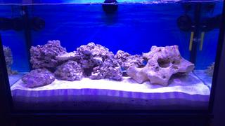 820F35A2-E8EB-4837-806E-4752542A3727