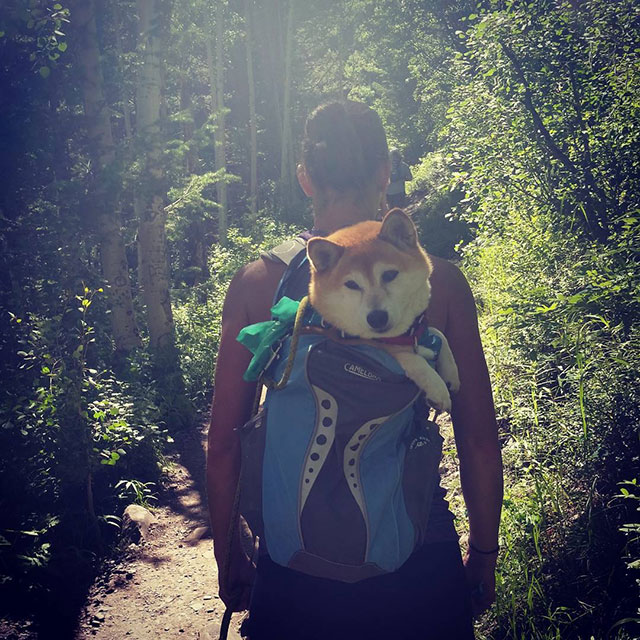mans-best-friend-1