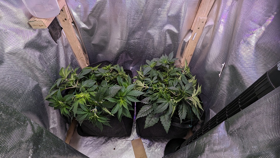 IMG_20240421_193056_(1080_x_608_piksel)