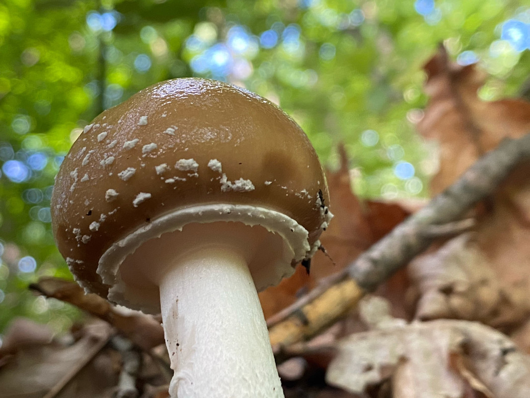 B68B1C76-8B50-4A84-9EBA-DF89DFCF22A7