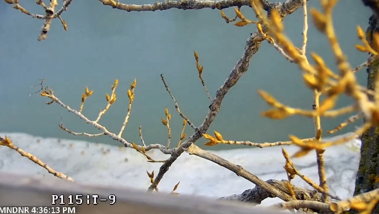 989ED73A-CE3B-4527-AD71-3D30C3C78C5D