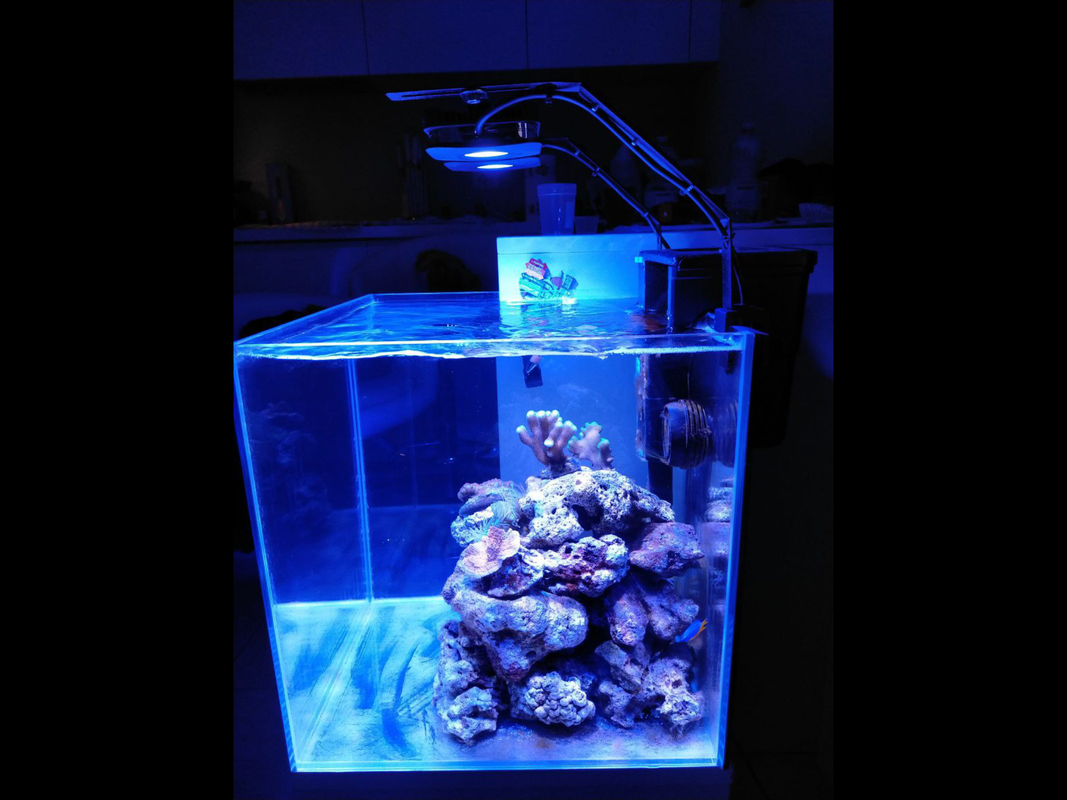 B3A29C77-2F9B-4A3D-A000-3AB10E61C7FA