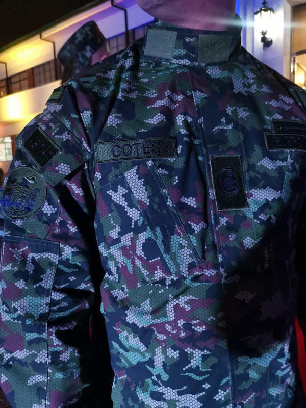 Proyecto Camaleón Bicentenario012