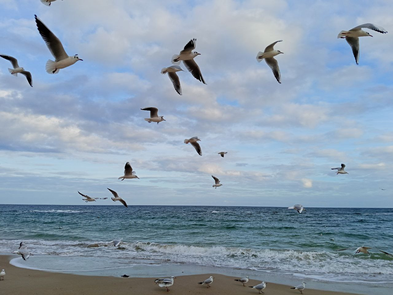 photo 2025 11 25 19 10 31