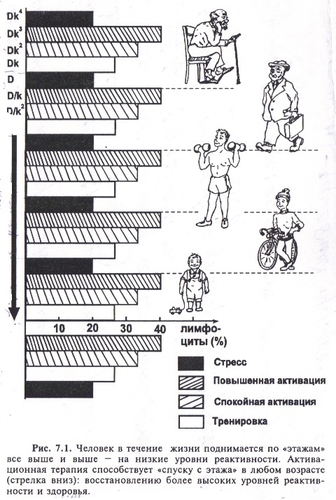 https://i.postimg.cc/MGsq7yVR/image.jpg