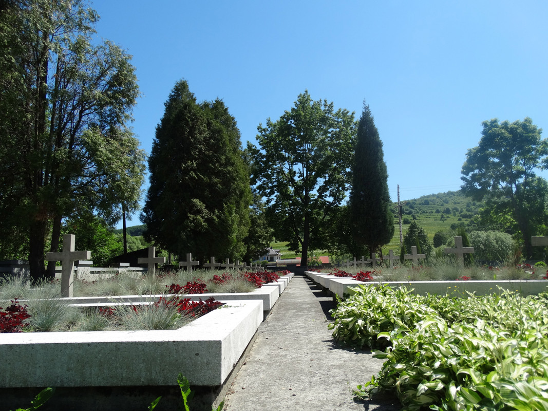 177 - DSC01460 (Lolo)