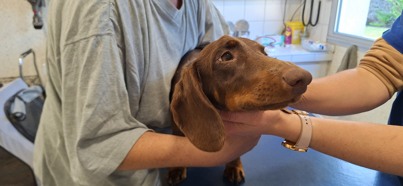 [Image: 20251014-173232.jpg]