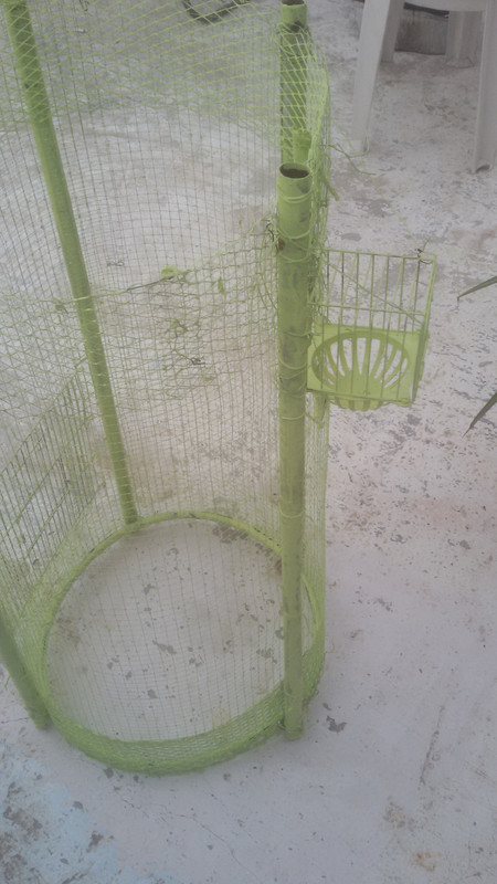 ٢?١٩?١٢٧_١٦١١?٦