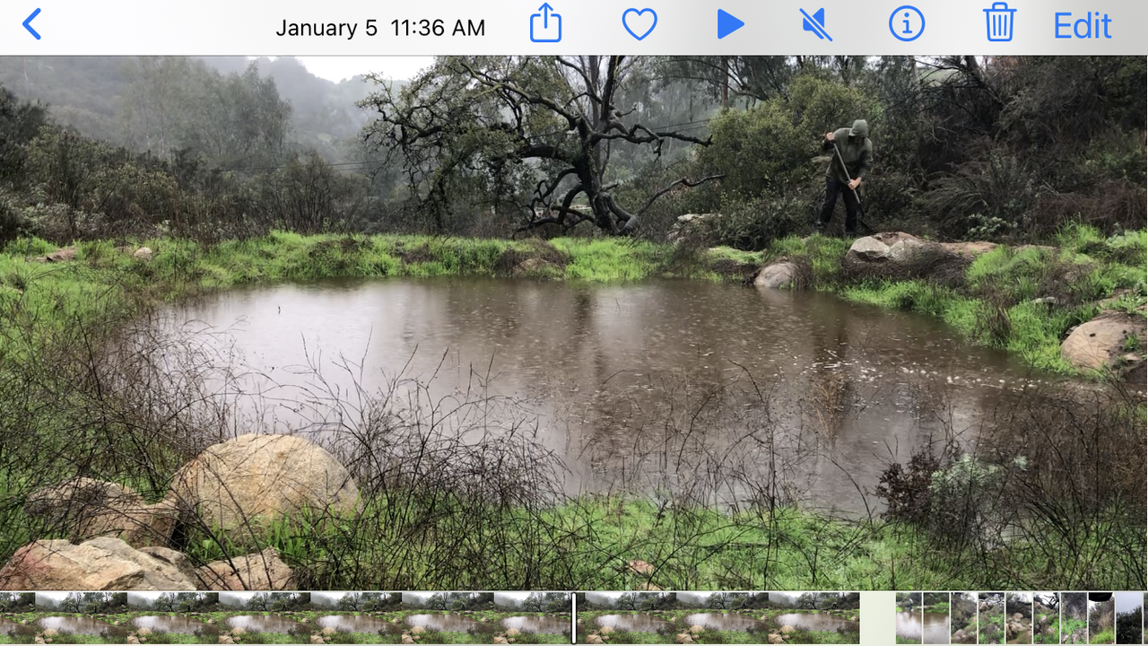 E846C26D-D250-4D16-987C-92547FAB248F