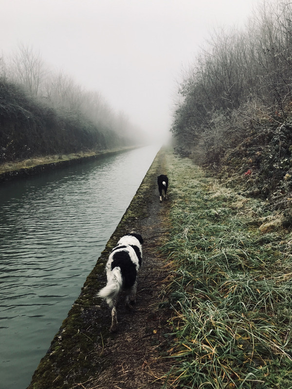 D8FEED85-E137-46EB-B849-517076BD8471