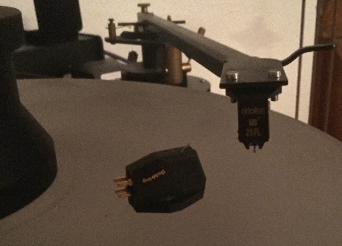 CFB55678-08AC-4DF2-BFF8-71961E4E8C6B