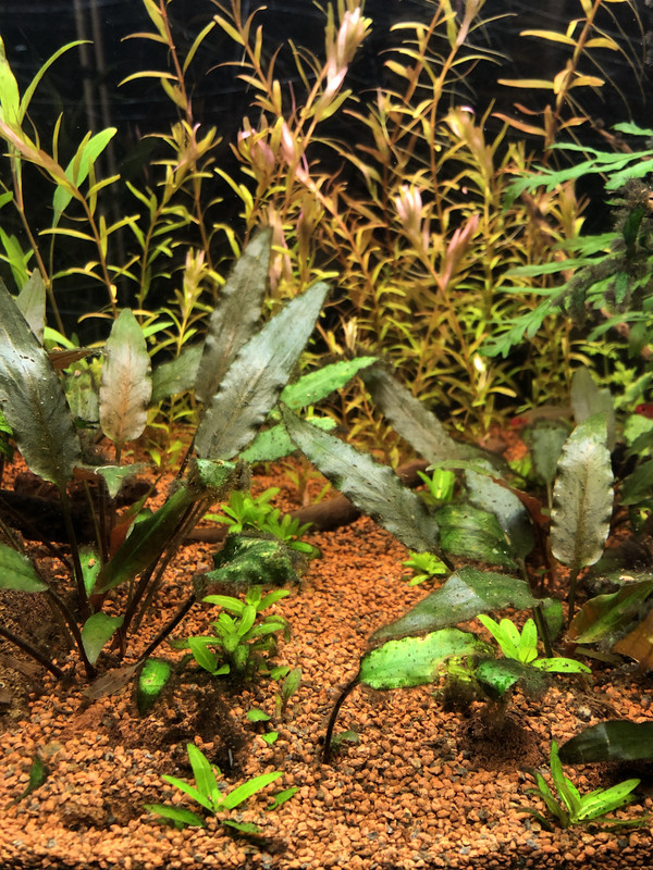 3478F28C-62FF-401D-9F1E-4EB5133402D4