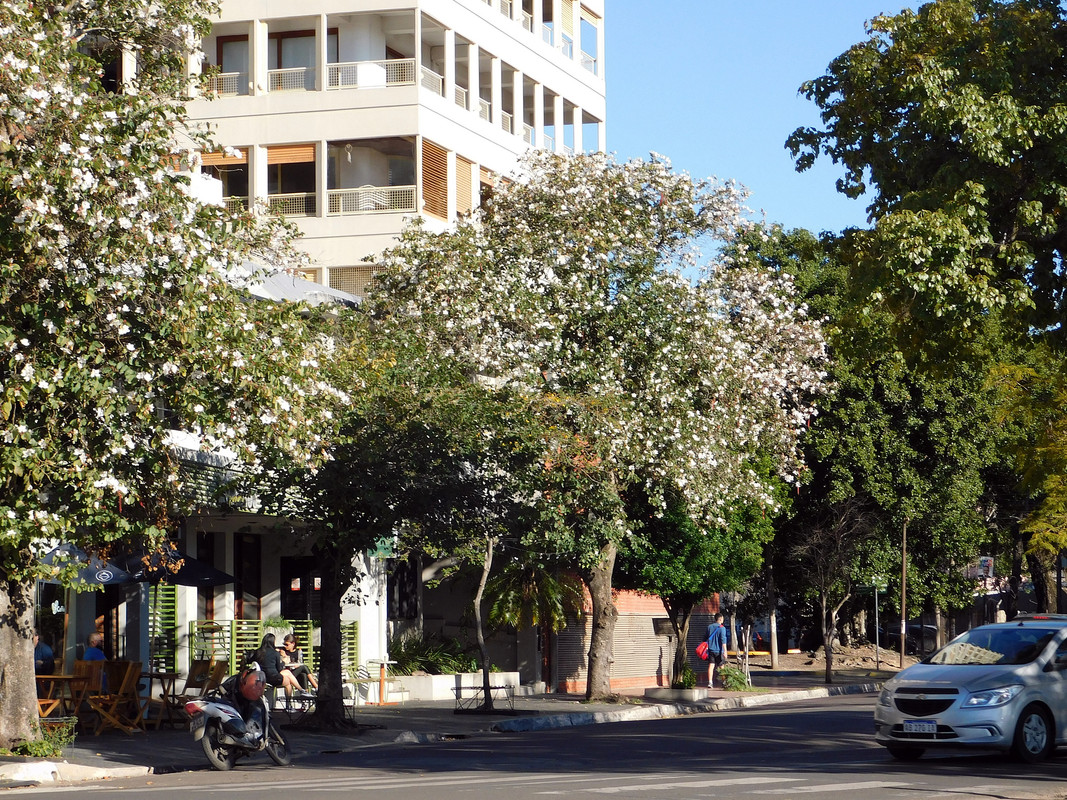 DSCN0636.jpg