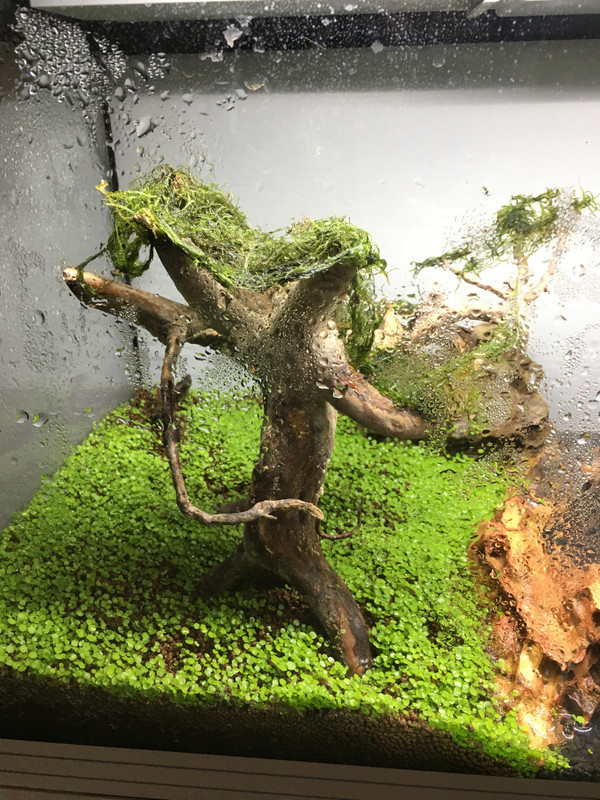 5798C57C-1EED-4216-B5FE-A5233C01760A