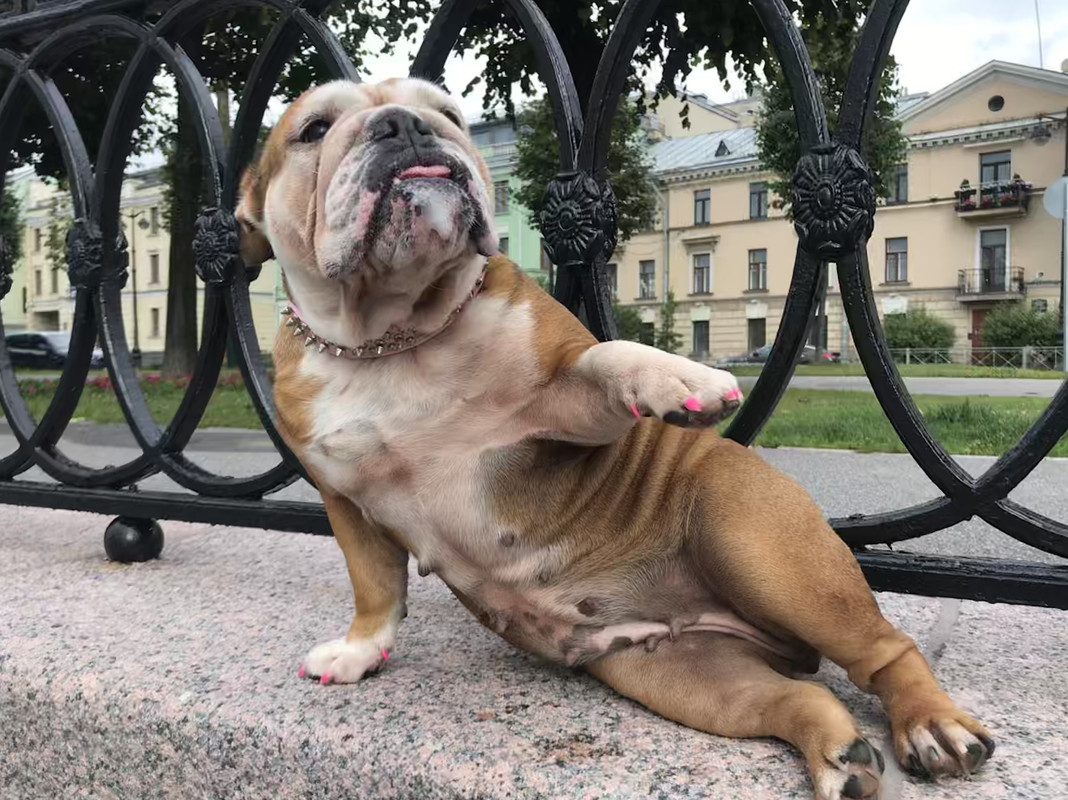 C047BD47-FDE3-4328-8F13-F5C8169D0531