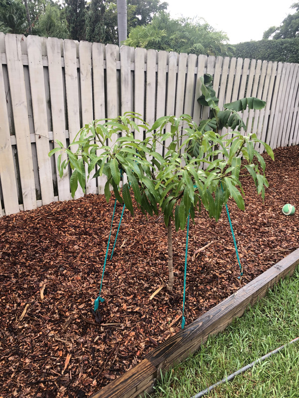 F270A577-40BC-45FB-BB5D-64C1800B2C31