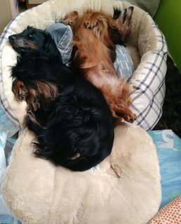 [Image: 20210302-103843.jpg]