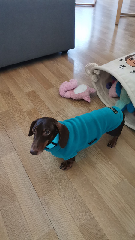 [Image: IMG-20221227-WA0005.jpg]