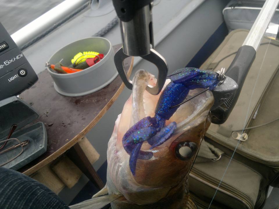 1 21731122_1713127558758298_570338786099 джиг