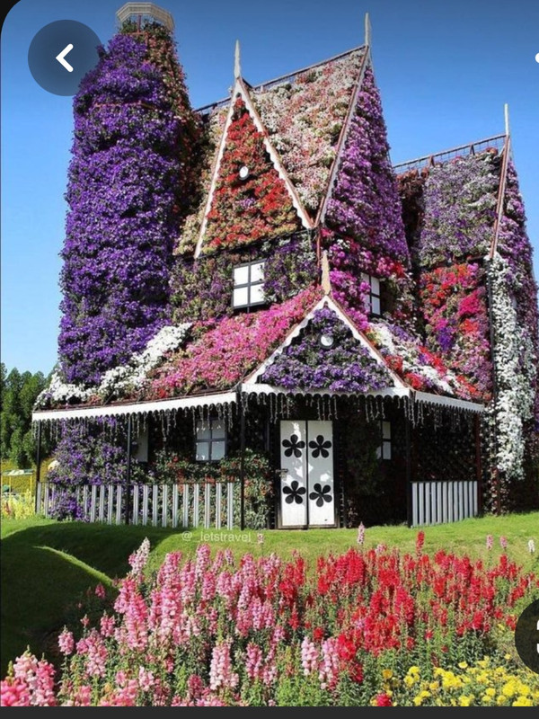 Screenshot_20230327_222842_Pinterest