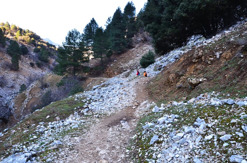 RUTA RIO BOROSA-12-3-2016-JAEN - Paseando por España-1991/2016 (189)