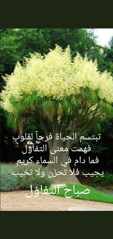 Screenshot_٢٠٢١٠٦٠٥-١١١٠٢٠