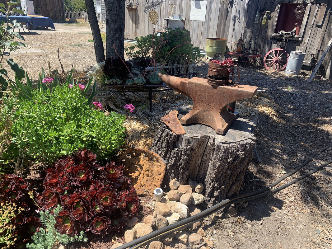 E035701E-398E-46A5-B454-DE2AEA702F64