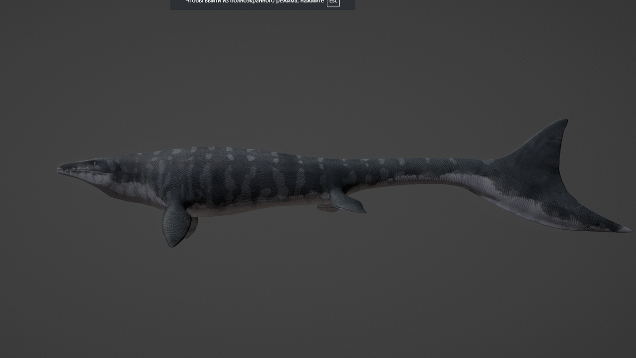 Безымянный