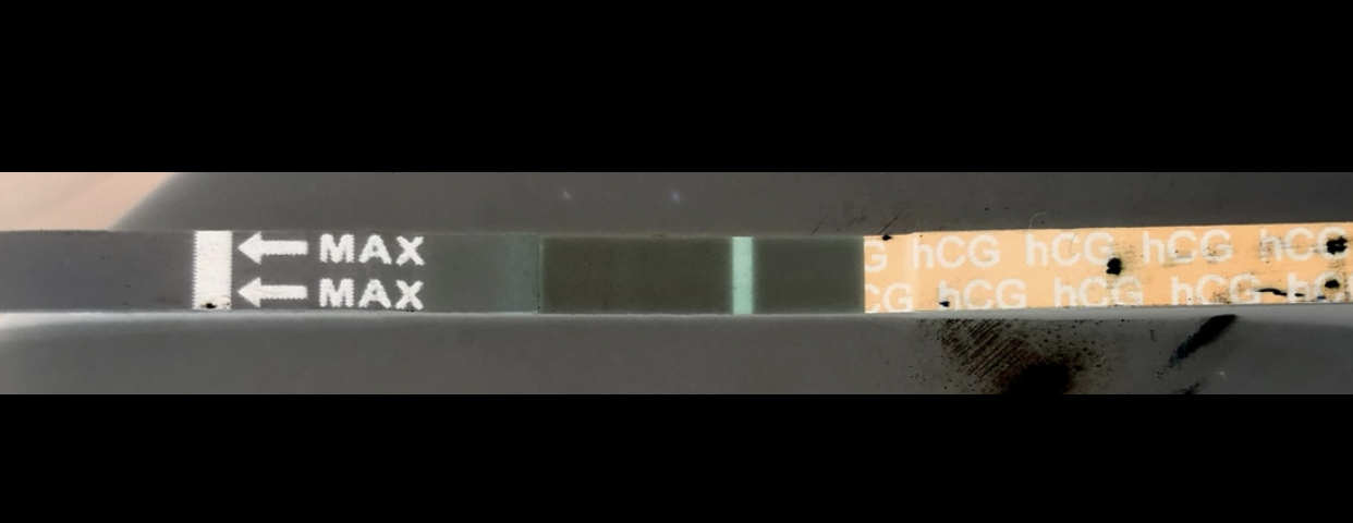 442F4A99-571D-4F06-8294-8A209333E3E0