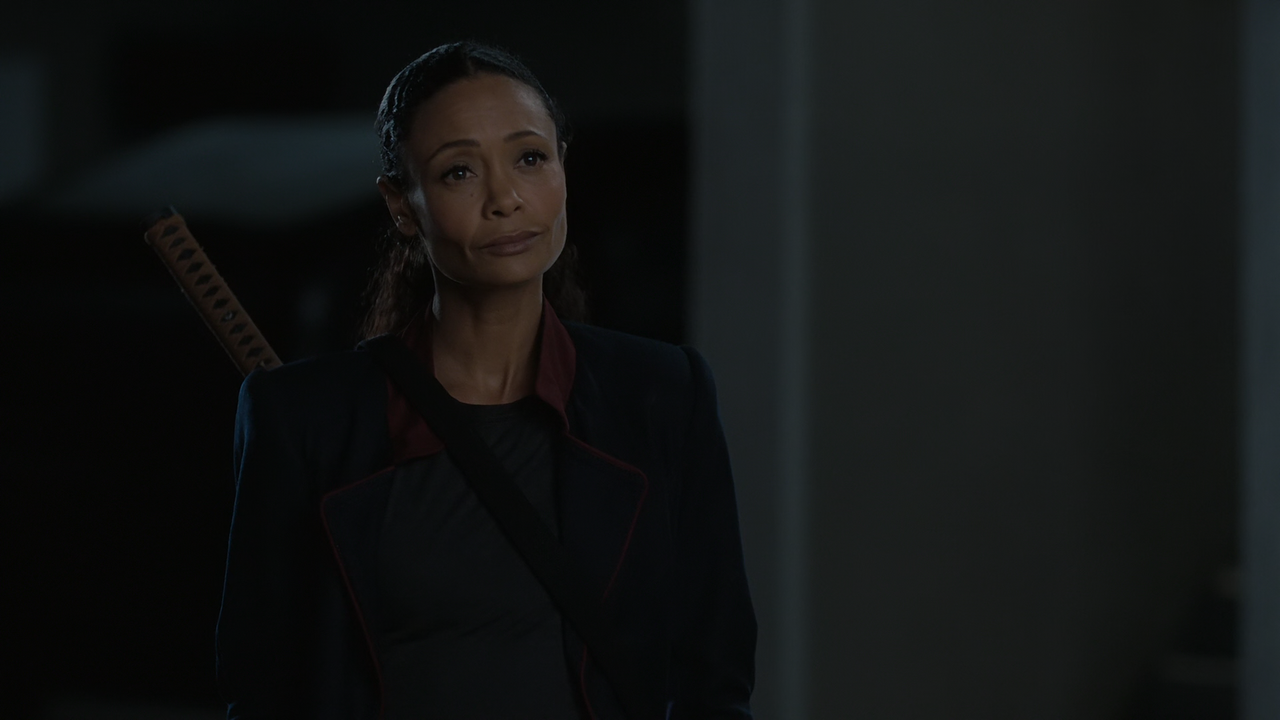 Westworld.S04E01.The.Auguries.1080p.10bit.HMAX.WEB-DL.DD5.1.HEVC-Vyndros.mkv_snapshot_47.11_[2022.06