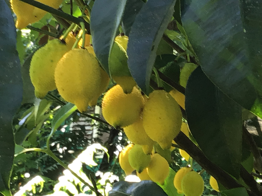 BF9CCC87-728F-4C1C-8AE0-FD9E73A09318