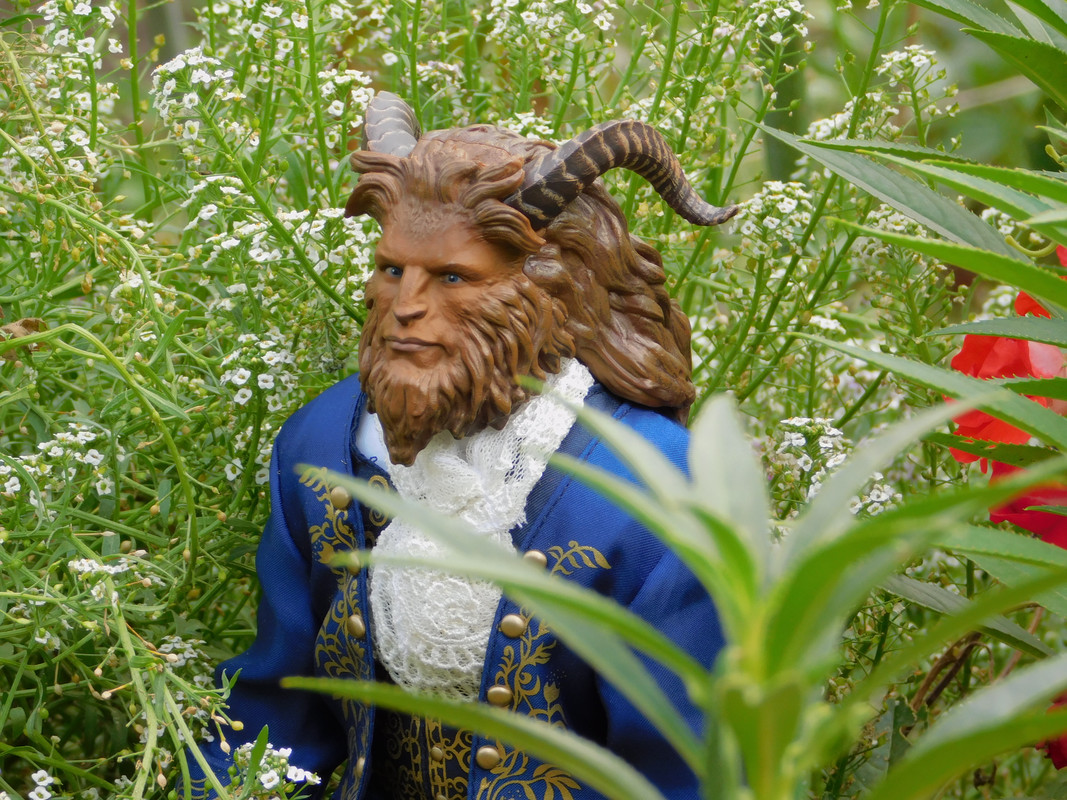 Дачное август Чудище, Харли и Ко, природ 364