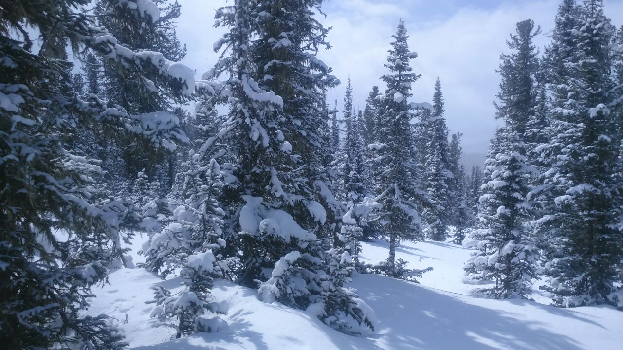 IMG_20190528_220341_293