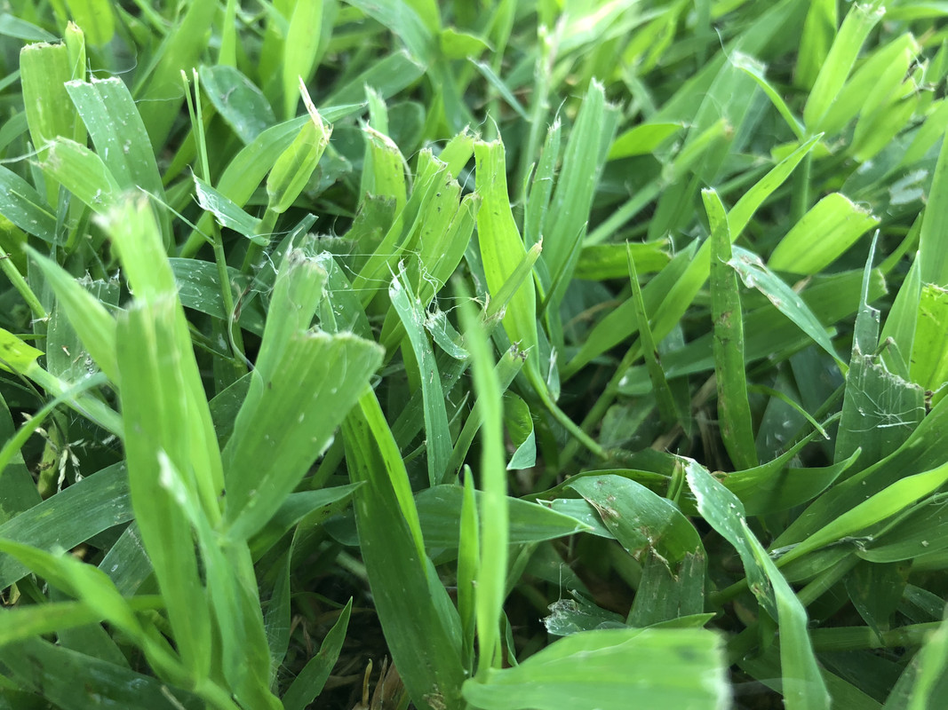 7EE84B69-E8C8-4E1F-911D-C784DD66EB10