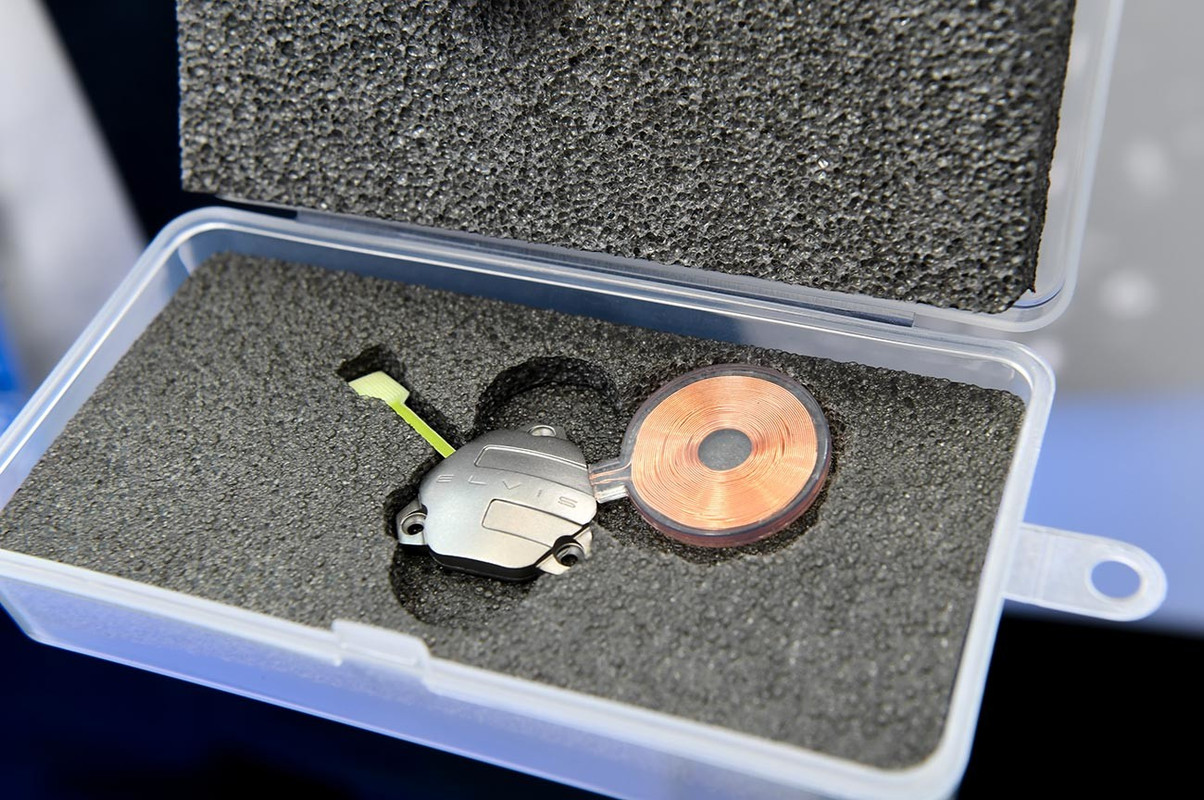 Rusos colocan neuroimplante en cerebro de mono ciego, devolvería visión a humanos