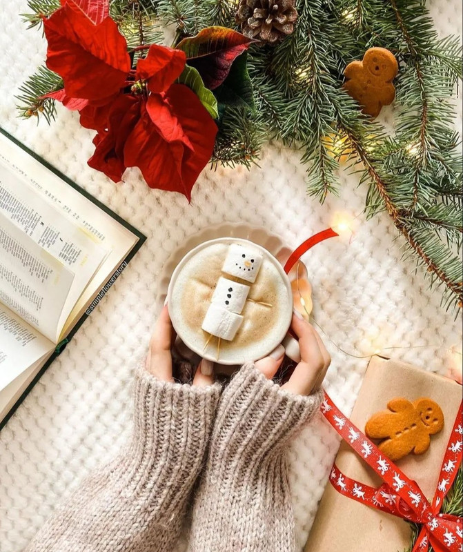 Screenshot_20240112_232557_Instagram