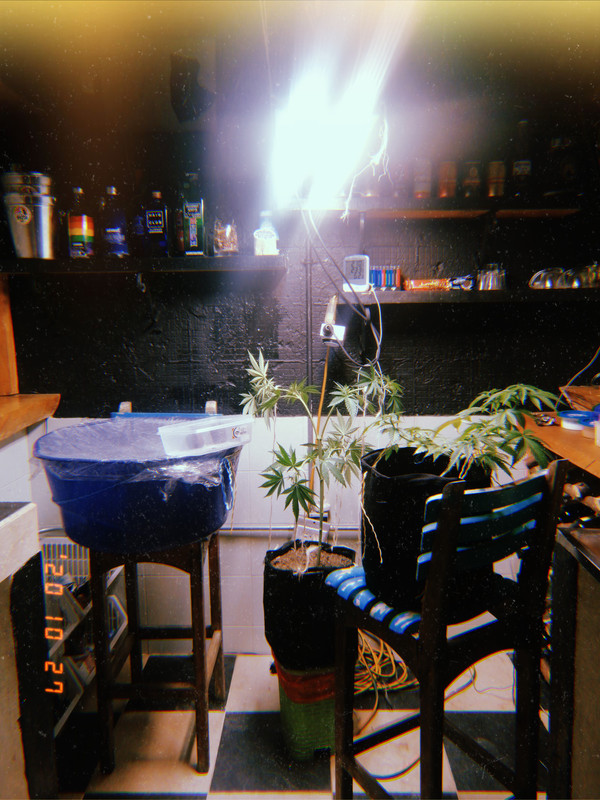 KUJICAM_2020-10-27-18-33-31_developed